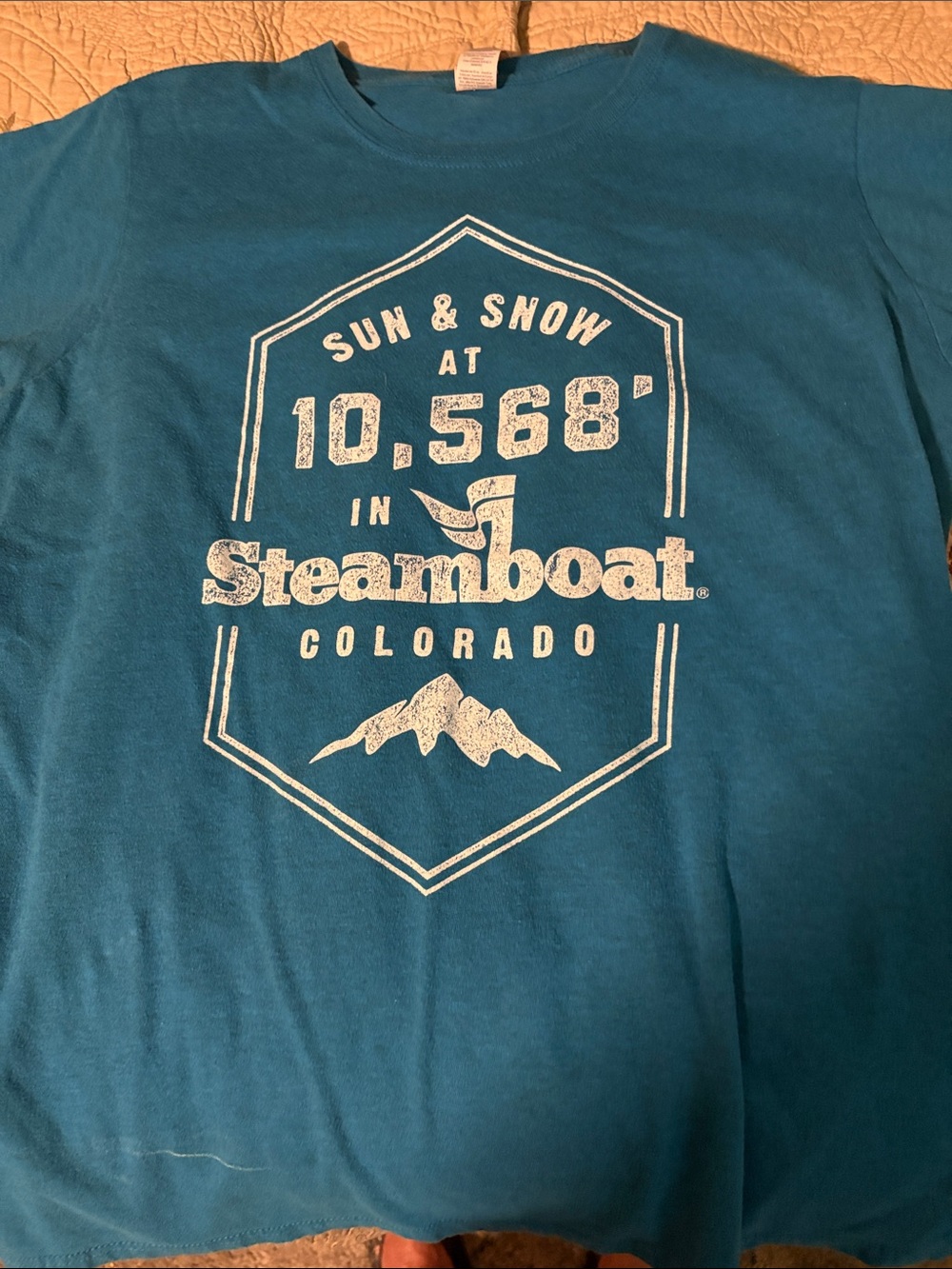 Gildan Teal Blue Steamboat Colorado Graphic Tee